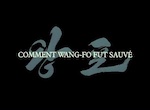 Comment Wang-Fô fut sauvé - image 1