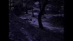 Coma - image 5
