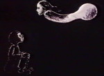 Le Petit Garçon qui Vola la Lune